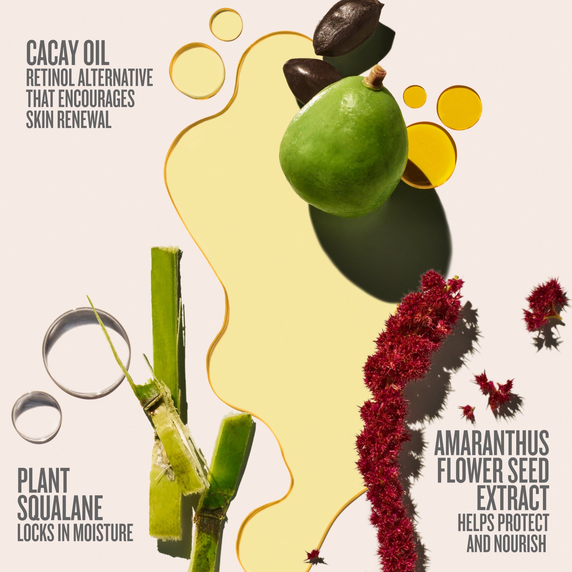 Sunday Unwind Duo | Limited Edition - Image 5