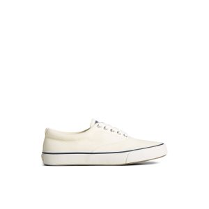 Striper II Canvas CVO Sneaker