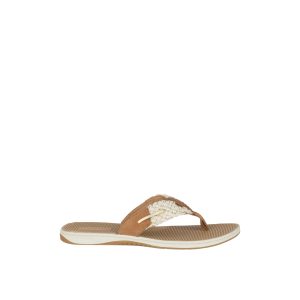 Parrotfish Braid Sandal